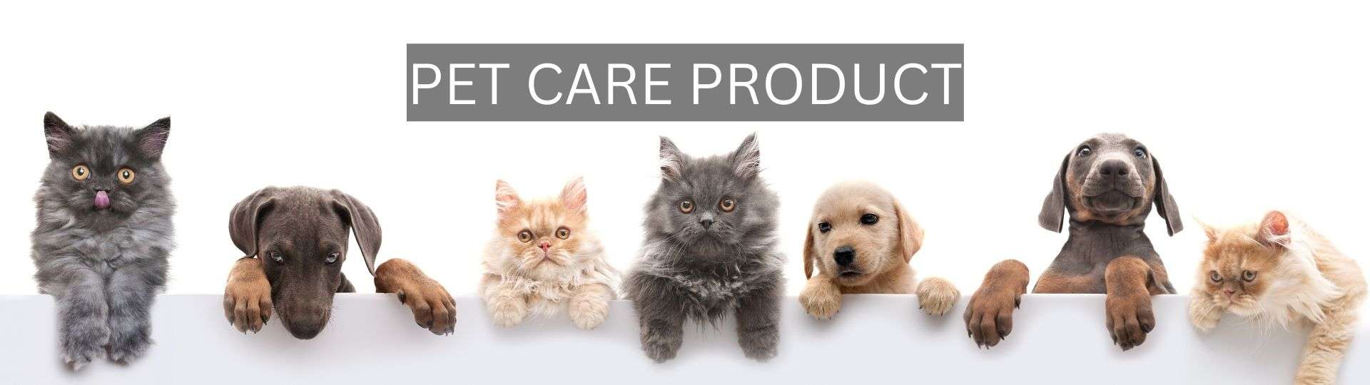 Buy Online Pet Care Products in Haryana