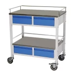 Medical trolley suppliers in Haryana